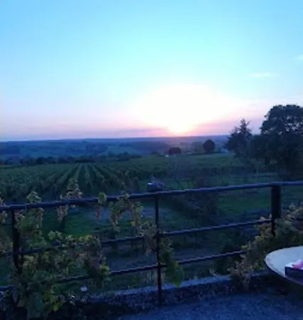 Domaine Des Ortinieres *