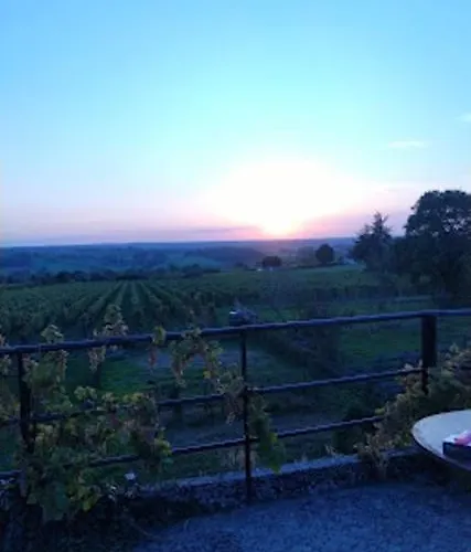 Domaine Des Ortinieres *