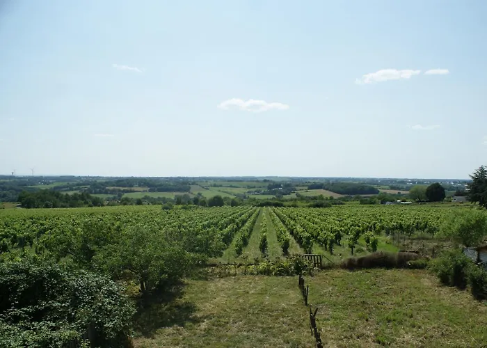 Domaine Des Ortinieres بيت للعطل